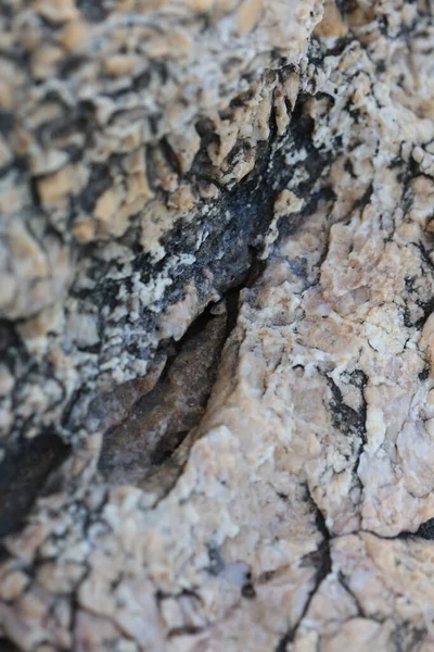 Sea Rocks Abstrakty Zamknąć Nowoczesne Tło Wysokiej Jakości Druki Dużych — Zdjęcie stockowe