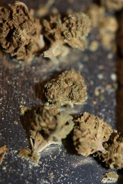 Marihuana Medicinsk Dålig Närbild Botanisk Bakgrund Stor Storlek Hög Kvalitet — Stockfoto