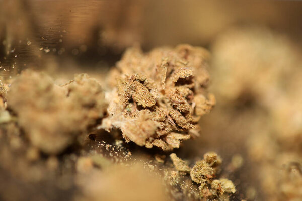 Marihuana medical bad cbd close up botanical background big size high quality prints