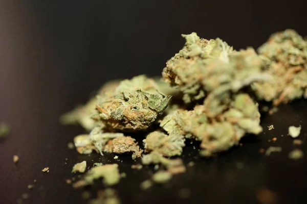 칸나비스 Cannabis 의료용 마리화나 배경의 식물학적 크기의 고품질 프린트 — 스톡 사진