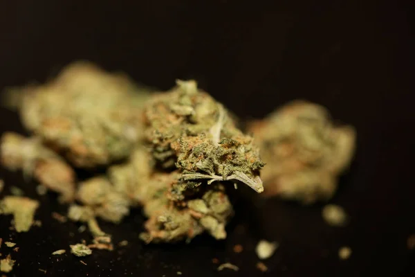Cannabis Orvosi Marihuana Szuper Lila Köd Botanikai Háttér Nagy Méret — Stock Fotó