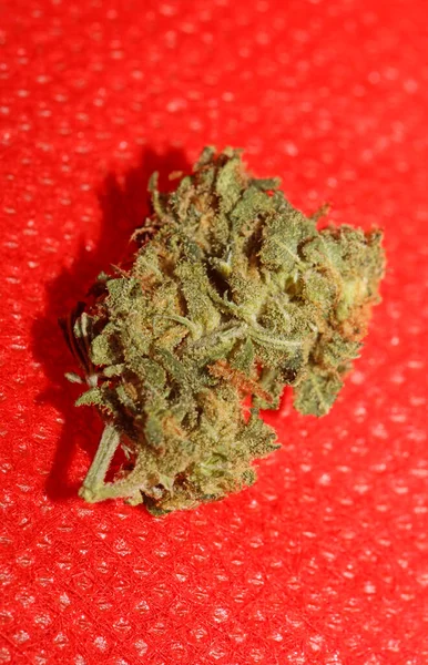 Therapeutic Marihuana Bud Close Background Modern Big Size High Quality — Stock Photo, Image