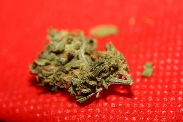 Therapeutische Marihuana Knospe Nahaufnahme Hintergrund Moderne Große Größe Hochwertige Drucke — Stockfoto