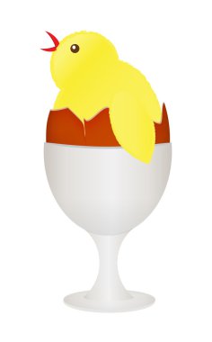 Yumurtalık Paskalya chick