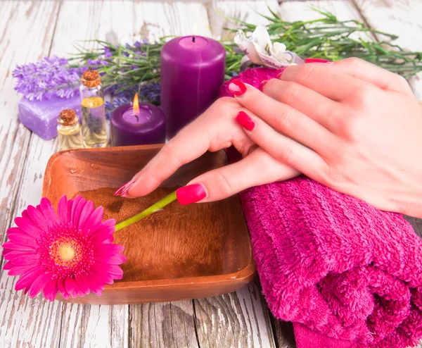 Hands — Stock Photo, Image