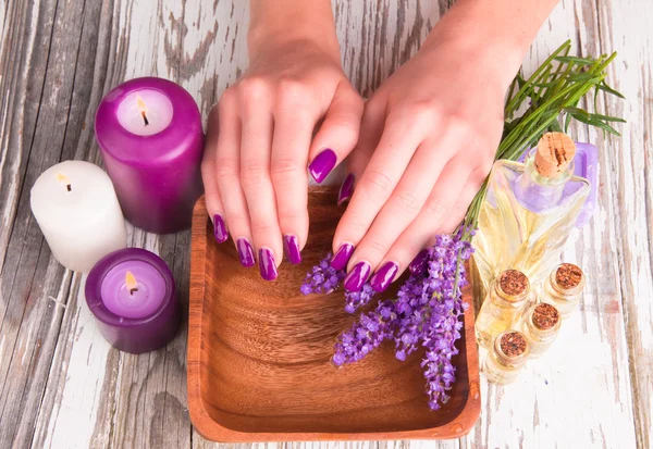 Hands — Stock Photo, Image