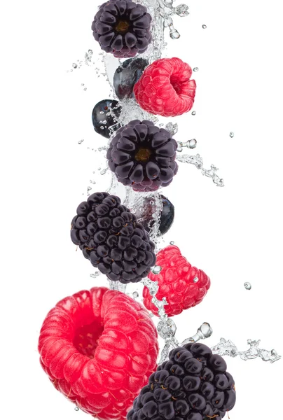 Splash with fruits — Stockfoto