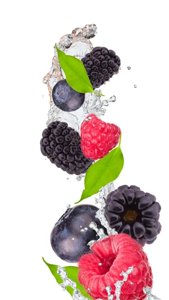 Брызги с фруктами — стоковое фото