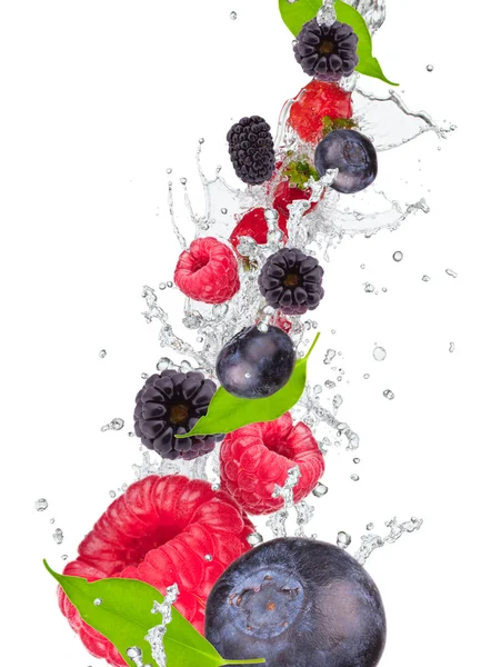 Splash with fruits — Stockfoto