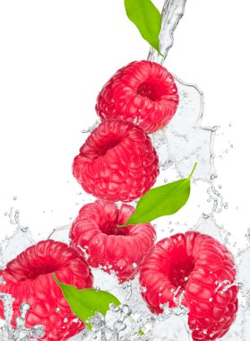 Splash with fruits