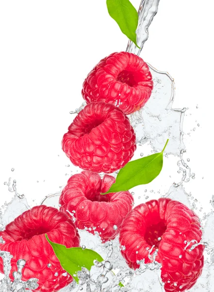 Spritzen mit Früchten — Stockfoto