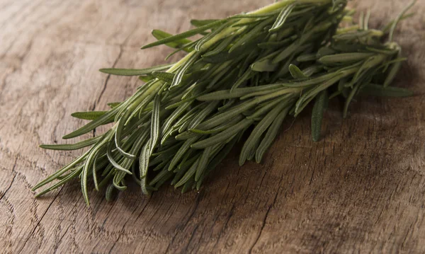 Rosemary — Stock Photo, Image