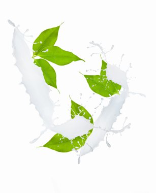 süt splash koleksiyonu