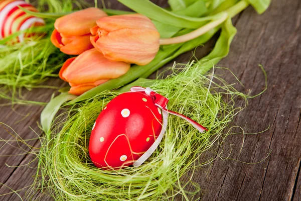 Tulipa da natureza — Fotografia de Stock