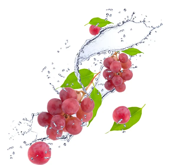 Grape in water — Stock Photo, Image