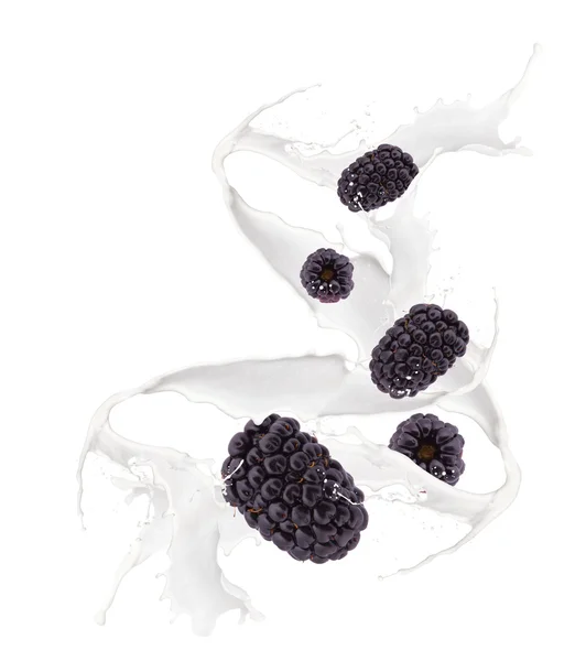 Berry milk splash — Stock Photo, Image