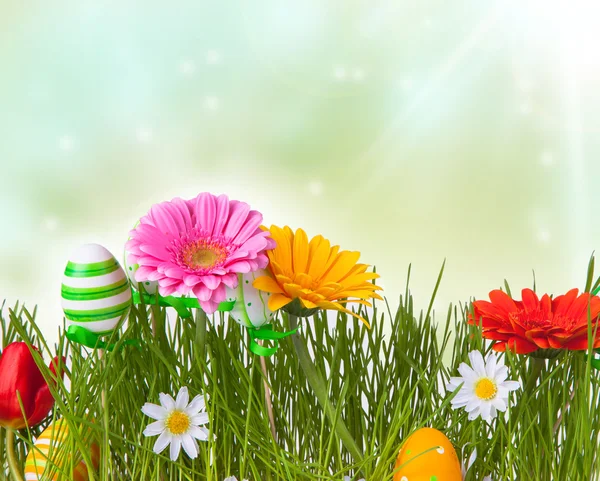 Spring concept — Stock Photo, Image