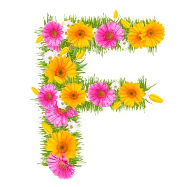 gerbera alfabesi