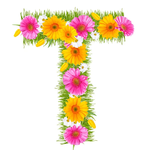 Gerbera-Alphabet — Stockfoto