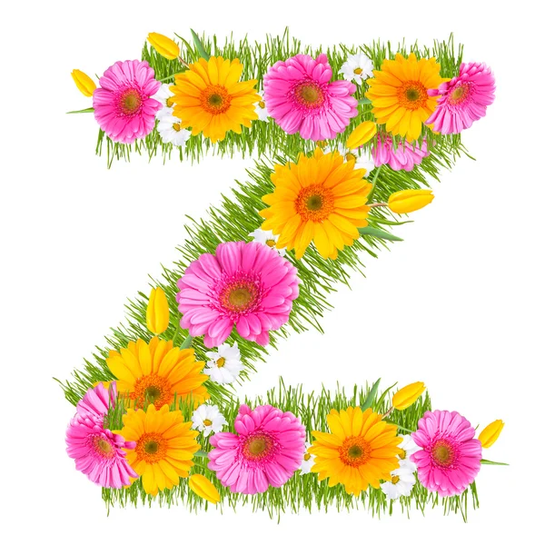 Gerbera alphabet — Stock Photo, Image