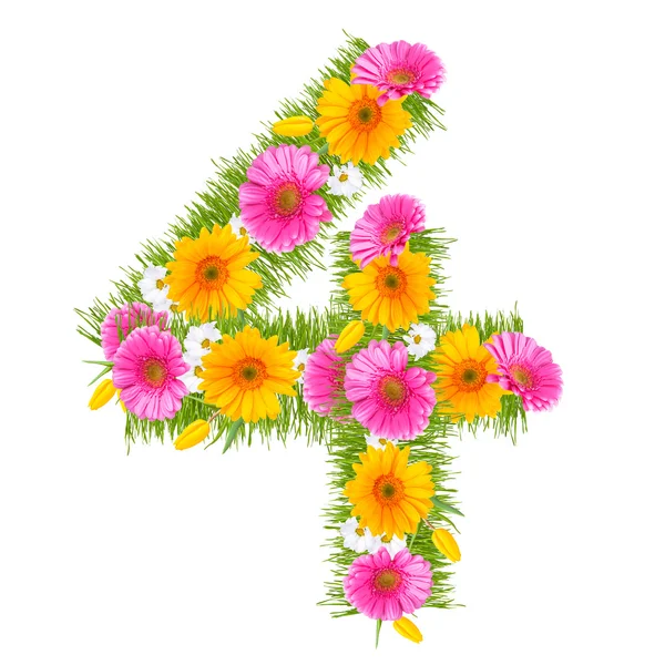 Gerbera-Alphabet — Stockfoto