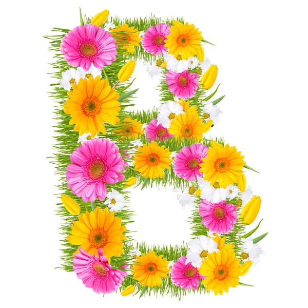 Gerbera-Alphabet — Stockfoto