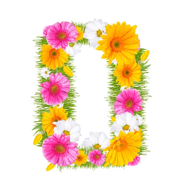 Gerbera-Alphabet — Stockfoto