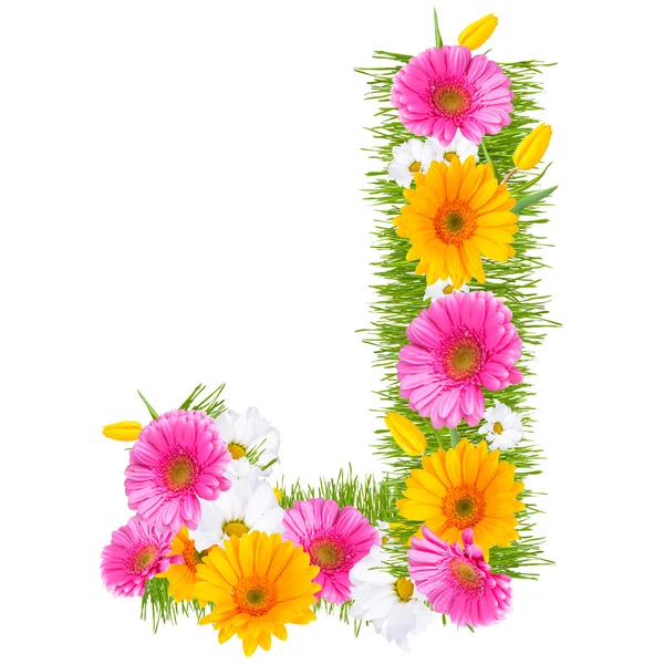 Alfabeto gerbera — Foto Stock