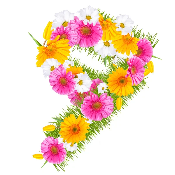 Gerbera-Alphabet — Stockfoto