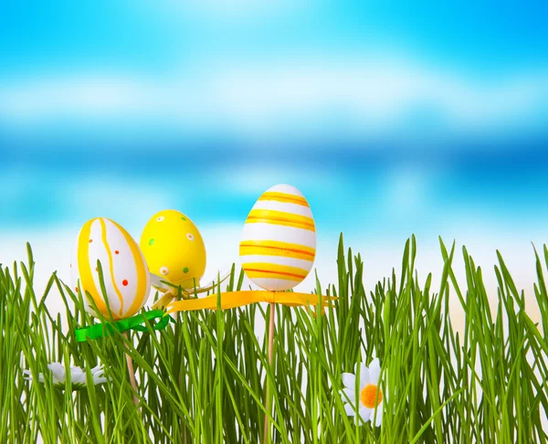 Easter concept. — Stock Photo, Image
