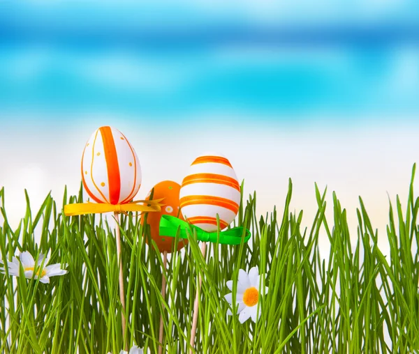Easter concept. — Stock Photo, Image