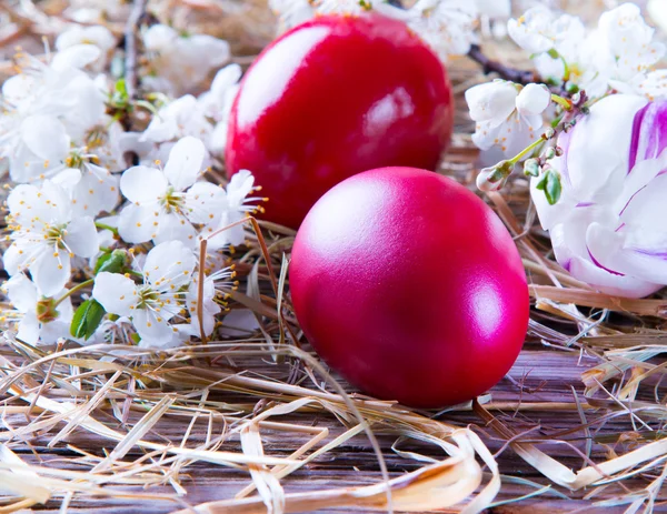 Påskkoncept. — Stockfoto