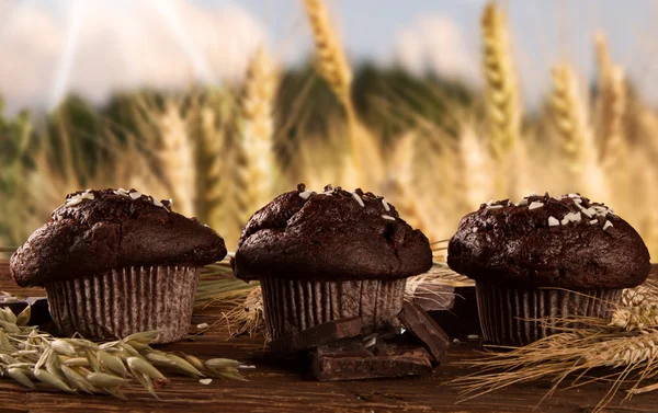 Muffins — Stockfoto