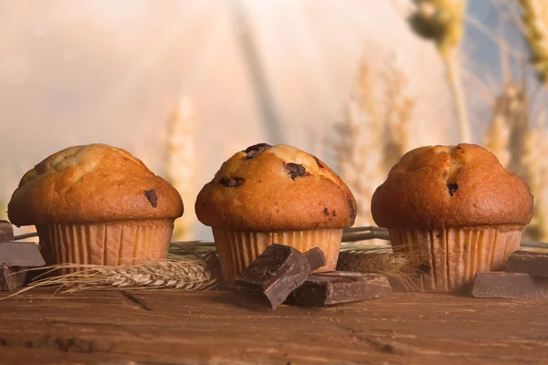 Muffins — Photo