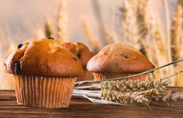 Muffins — Stockfoto