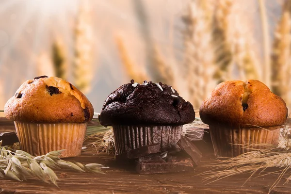 Muffins — Photo