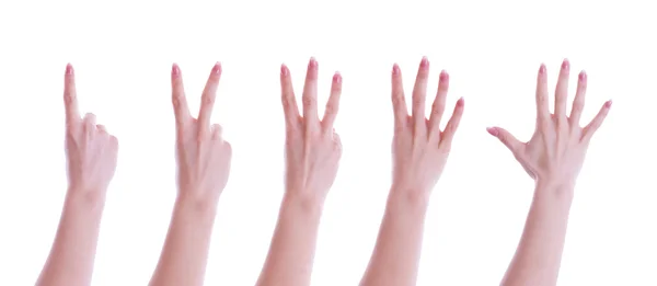 Five hands — Stock Photo, Image