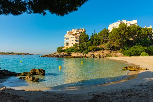 Ses Iletesビーチは松の木に囲まれています 前にサカレタ島と パルマ マヨルカ島 スペイン ストック画像