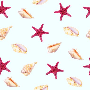 Üst görünüm düz deniz yıldızı ve açık mavi arka planda dikişsiz deniz kabuğu deseni.