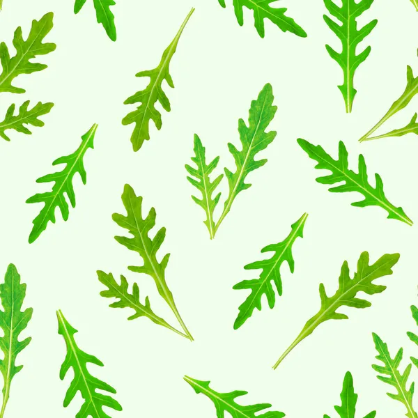 Πάνω Όψη Επίπεδη Θέσει Φρέσκα Φύλλα Ρόκα Μοτίβο Ανοιχτό Πράσινο — Φωτογραφία Αρχείου
