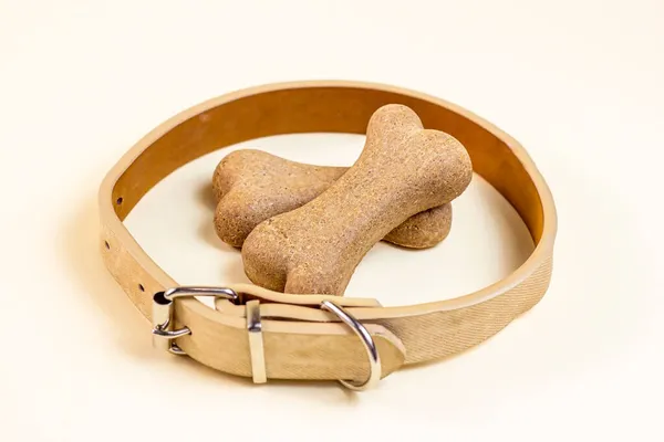 Cokelat Biskuit Tulang Untuk Anjing Kerah Krem Pada Latar Belakang — Stok Foto
