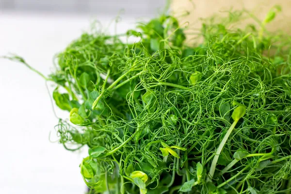 Fresh Green Peas Sprouts Growing Microgreen Eating Light Background — Stock Photo, Image