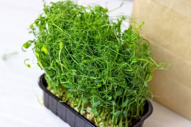 Açık arkaplanda yemek için taze yeşil bezelye filizleri..