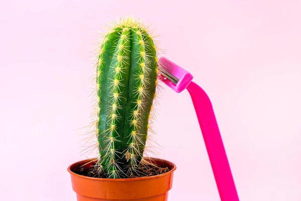 Cactus Espinoso Verde Con Afeitadora Mujer Desechable Rosa Sobre Fondo — Foto de Stock