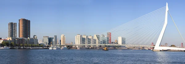 erasmus bridge rotterdam