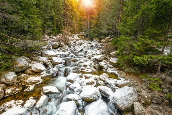 Kış günbatımı dağ nehir manzarası. Bulgaristan 'ın Bansko kentindeki Pirin Dağı' nda çamlık ormanda donmuş dağ nehri..
