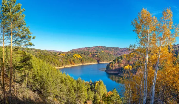 Çam ormanında dağ gölü olan renkli sonbahar manzarası. Berovo Gölü, Kuzey Makedonya.