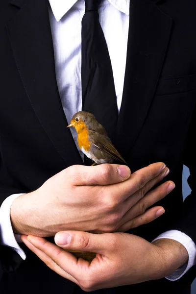 Empresario con pájaro en la mano —  Fotos de Stock