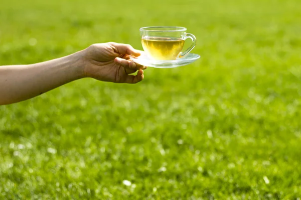 Hand holding cup of tea on sunny day — Stock Photo, Image