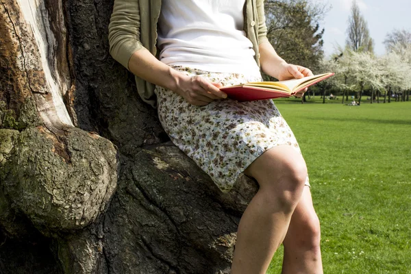 Mujer joven sentada en el árbol leyendo — Foto de Stock